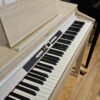 ROLAND RP701