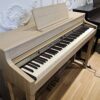 ROLAND HP702