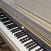 ROLAND HP702