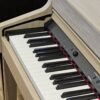 ROLAND HP702