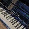 YAMAHA NU1X