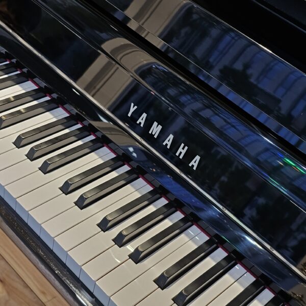 YAMAHA NU1X